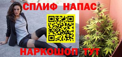 СК Протвино