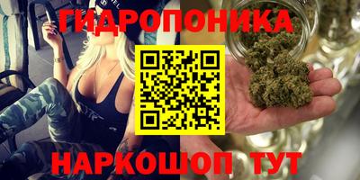 СК Протвино